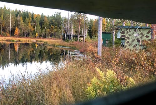 Några gömslen ses vid en sjö. Fotograferat från ett annat gömsle