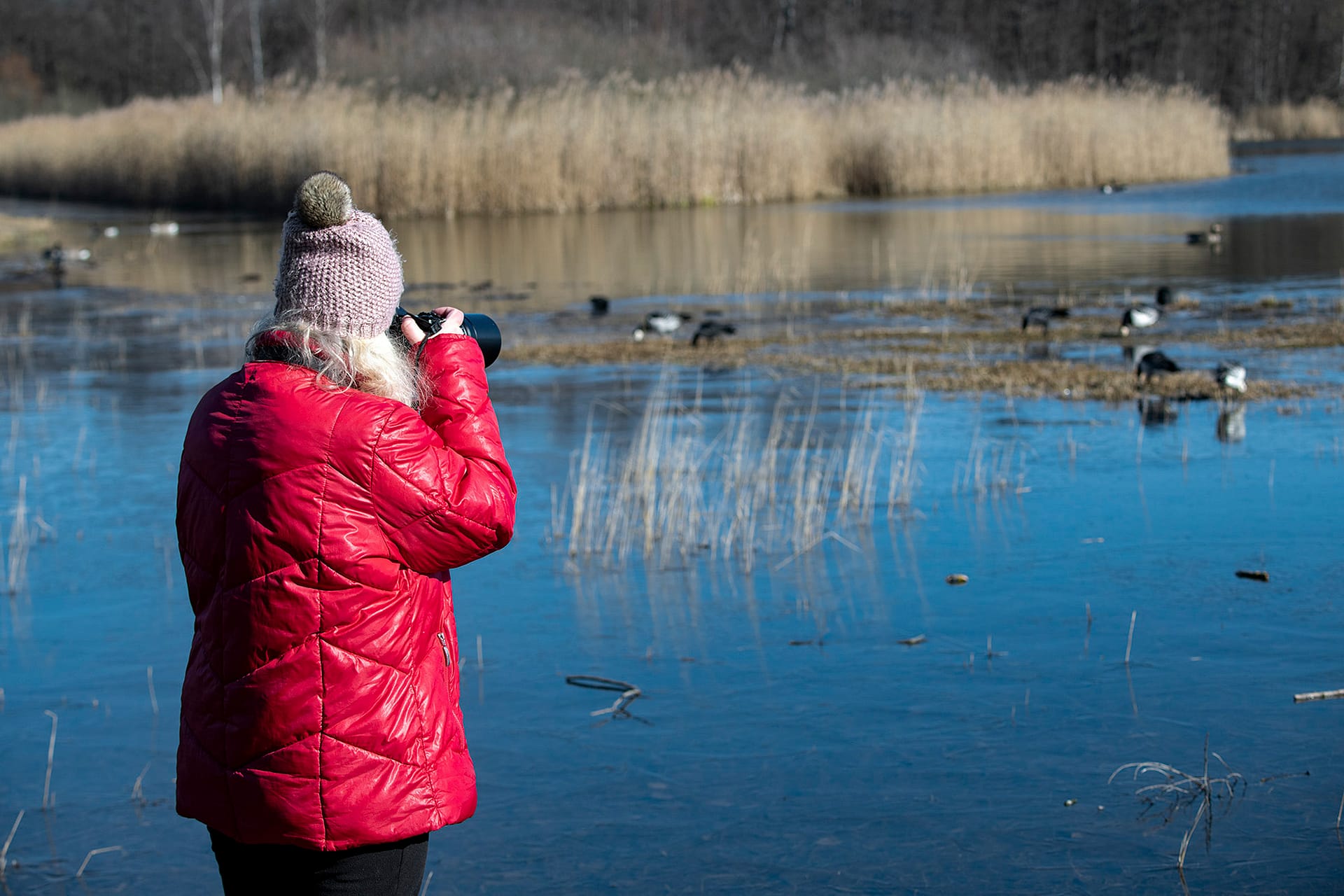 Fotograf med kamera står vid Solnasjön