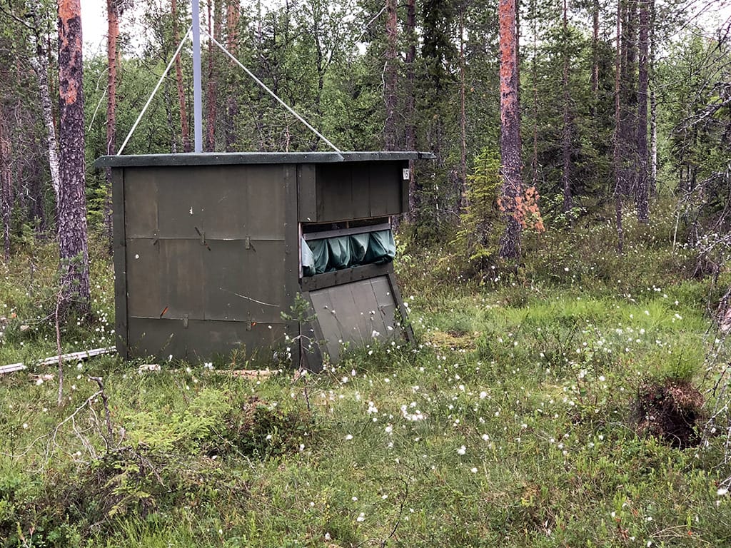 Gömsle i skogen